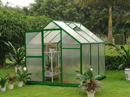 Małe 10mm UV Poliwęglan hobby Mini Greenhouse ogrodowe i ogród 6 &amp;#39;x 6&amp;#39;
