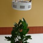 Energy Saving High Power LED rosną światła roślin Zestawy RCG 50W szklarni