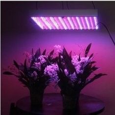 LED rosną światła RCG14W dla roślin Greenhouse rozwiązać rozpraszanie ciepła doskonale