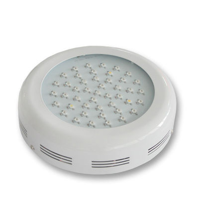 Wysoka moc roślin LED R światło 3watt przyjazne dla środowiska 85 - 265V CRI&gt; 80