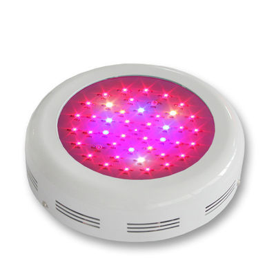 Energy Saving Okrągłe światła LED roślina R 3W Kolor Zmiana Roślinnych Gorwing i kwitnący