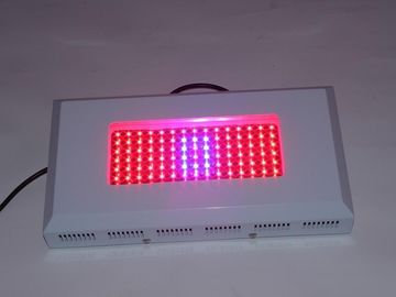 High Power LED hydroponicznych rosną Lightst 1watt AC 85 ~ 264V, szklarni rosną światła