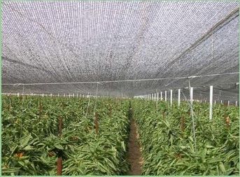 Rolnictwo Shade cieplarnianych Siatki, 2 x 100m, 30gsm - 300gsm