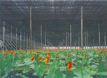 Rolnictwo Shade cieplarnianych Siatki, 2 x 100m, 30gsm - 300gsm