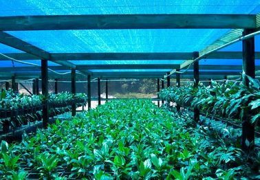Szklarnia Shade netto, rolety Rolnicza szmatki Flower Farm