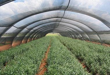 HDPE Anti UV Shade dachu szklarni Siatki, rolety Polietylen netto