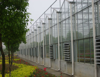 pojedyncze film / Film inflacja / szkło Venlo komercyjna cieplarnianych, 9600mm rozpiętości