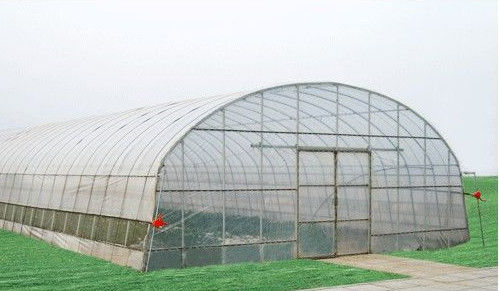10000mm rozpiętość komercyjne szklarnie ekonomiczny szklarnię tunelu
