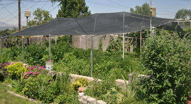 Wysoka Power Screen Shade Ogród Siatki Na dziedzińcu, HDPE UV