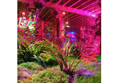 0.6m wewnętrzne LED rośli Światła do Green House And Hydroponika Rosnące