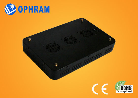 High Power IP20 Full Spectrum LED rosną światła dla Seedling / liściastych