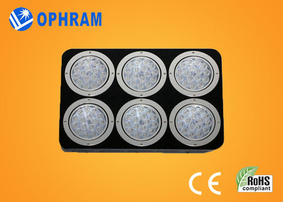 High Power IP20 Full Spectrum LED rosną światła dla Seedling / liściastych