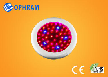 Epistar IP20 50W Full Spectrum LED rosną światła dla kwiatów AC85-265V