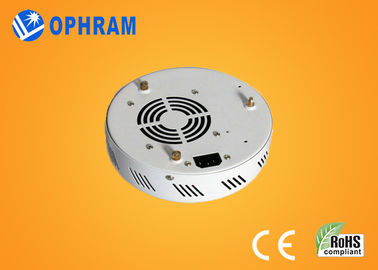 Epistar IP20 50W Full Spectrum LED rosną światła dla kwiatów AC85-265V
