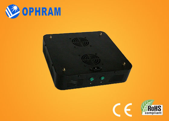 120W IP20 AC85-265V Epistar 10% -90% RH Full Spectrum LED rosną światła