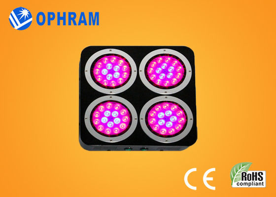 120W IP20 AC85-265V Epistar 10% -90% RH Full Spectrum LED rosną światła