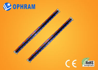 Wysoka jasność Epistar IP65 Red And Blue LED rosną światła CE / ROHS