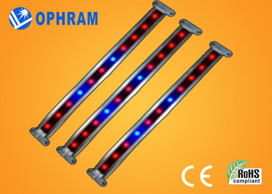 10W SMD 2835 Vegetable / Kwitnienie LED rosną światła 180 ° Kąt rozsyłu