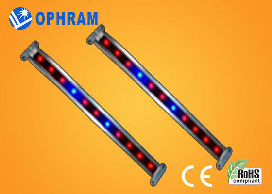 10W SMD 2835 Vegetable / Kwitnienie LED rosną światła 180 ° Kąt rozsyłu
