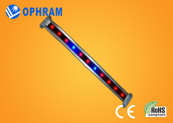 10W SMD 2835 Vegetable / Kwitnienie LED rosną światła 180 ° Kąt rozsyłu