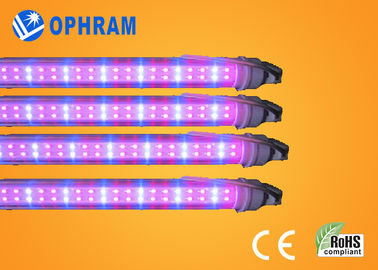 50Hz / 60Hz 230V / 240V Full Spectrum LED rosną światła warzyw