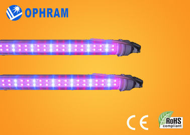 High Power IP20 pomidor / sałata / Marihuana kryty LED rosną światła AC85V-265V