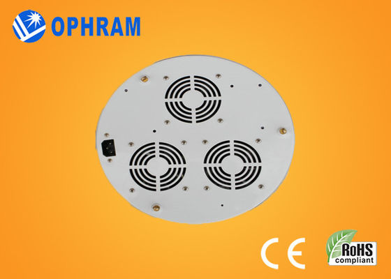 110V / 50Hz 220V / 60Hz Epistar 90W Full Spectrum LED rosną światła
