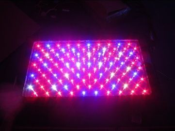 Wysoka moc 120W cieplarnianych LED R światło
